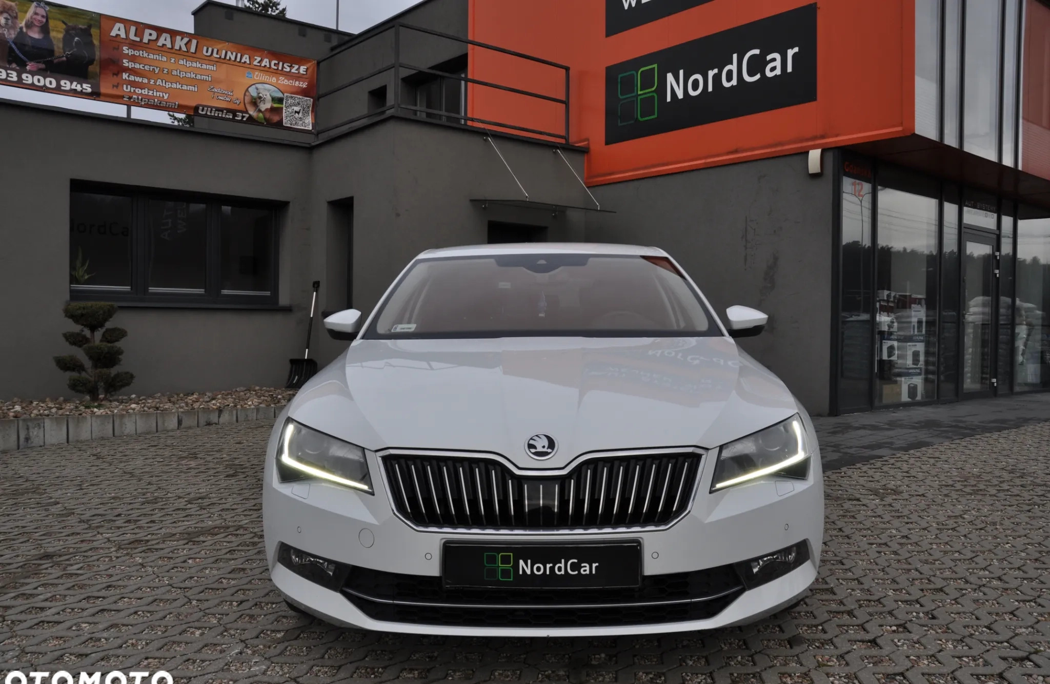 Skoda Superb cena 88000 przebieg: 65410, rok produkcji 2019 z Głogów małe 301